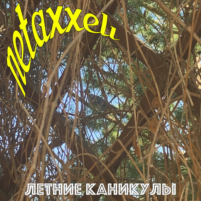 постер песни netaxxeli - Моя катастрофа