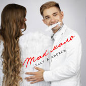 постер песни ELLY & ANDREW - Так мало