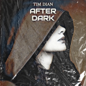 постер песни Tim Dian - After Dark