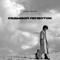 постер песни Антон Токарев - Седьмой Лепесток (Lavrushkin & Shakhov Radio Mix)