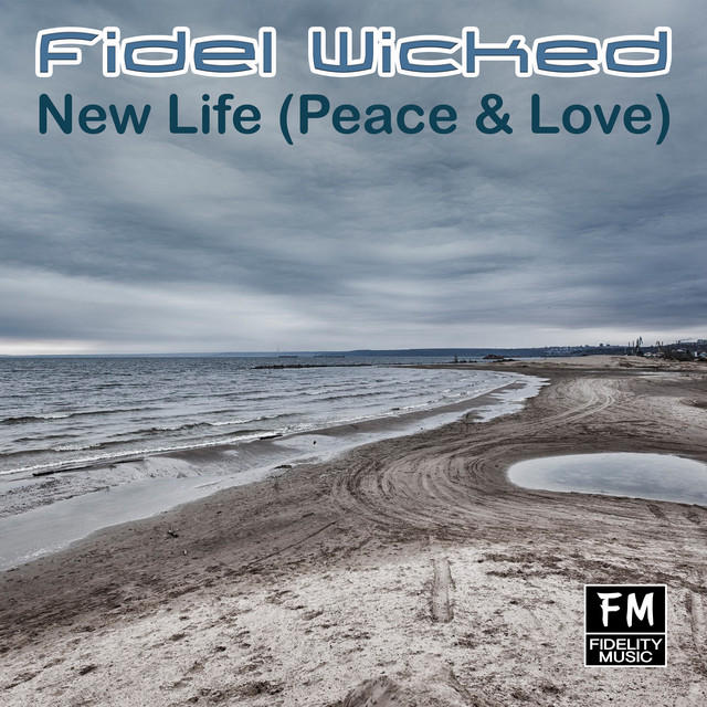 постер песни Fidel Wicked - New Life (Peace & Love)