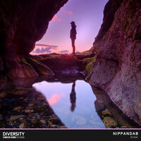 постер песни Nippandab & Ikigai - Designer