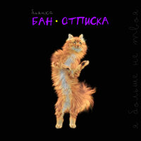 постер песни Бьянка - БАН-ОТПИСКА